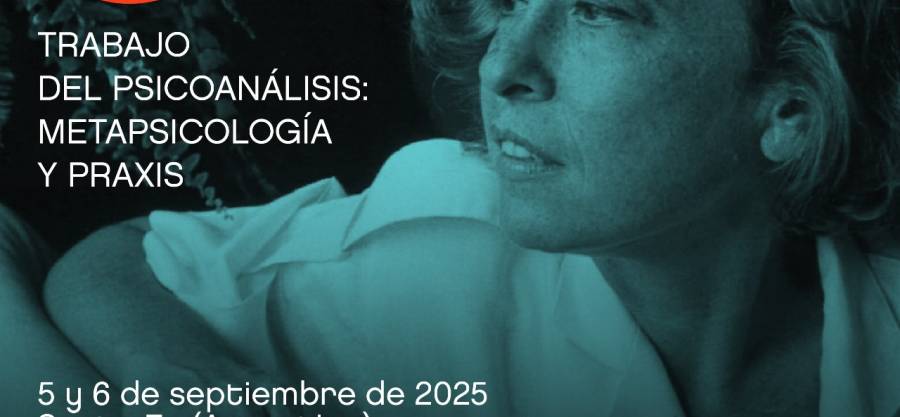 5° Coloquio SILVIA BLEICHMAR