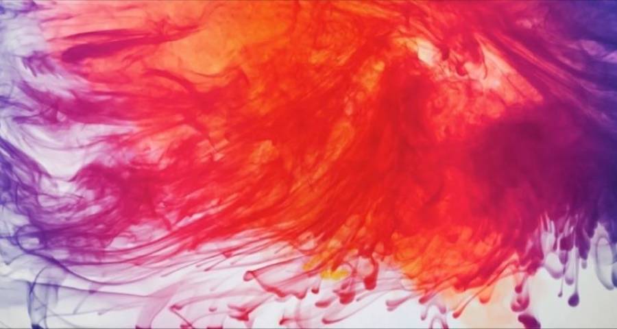 Convocatoria a incluirse en la comisión «Estudios de género y Disidencias» de CoPER