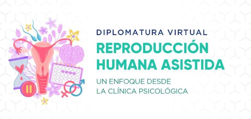 diplo repro humana 2024